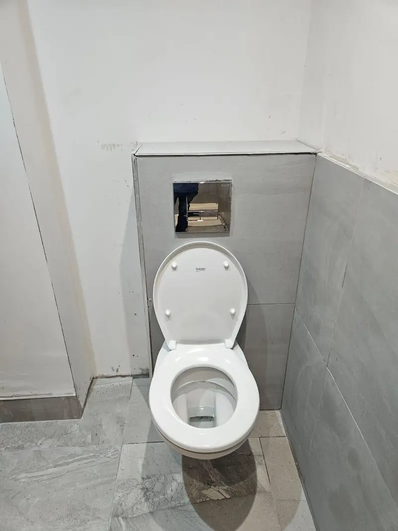 Wall-hung toilet with concealed cistern and flush plate